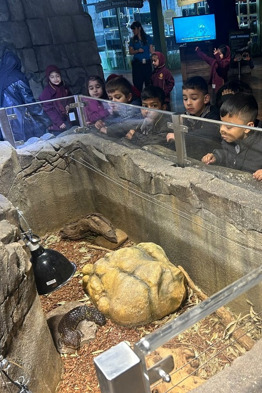Foundation Islamic Studies Excursion: Sea Life