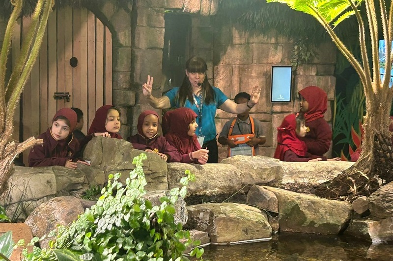 Foundation Islamic Studies Excursion: Sea Life