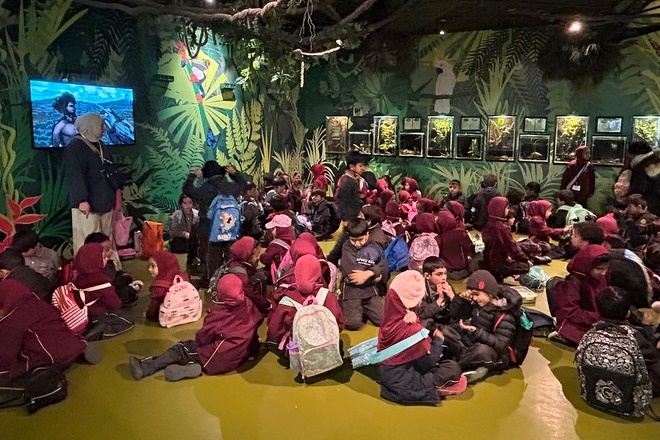 Foundation Islamic Studies Excursion: Sea Life
