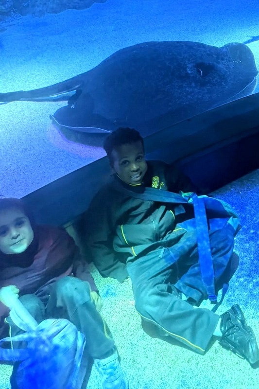 Foundation Islamic Studies Excursion: Sea Life