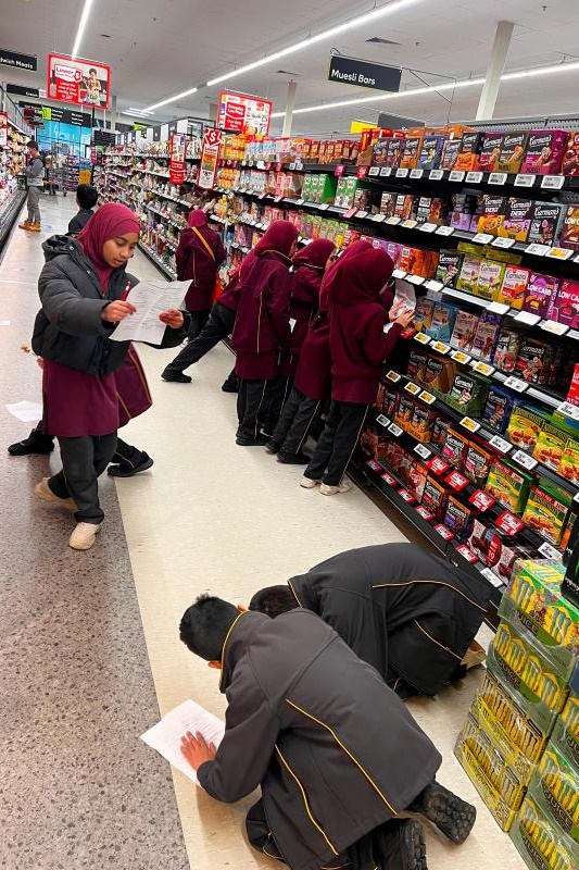 Year 3 Woolworths Adventure