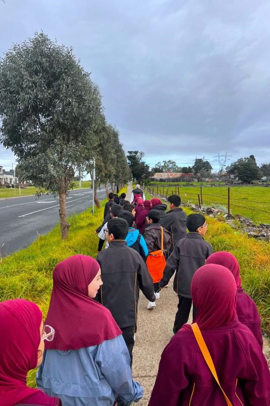 Year 3 Woolworths Adventure
