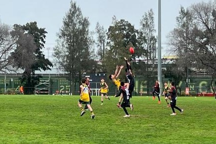 Years 4 – 6 Boys: Bachar Houli Cup 2026