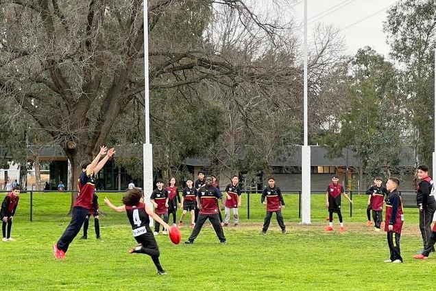 Years 4 – 6 Boys: Bachar Houli Cup 2026