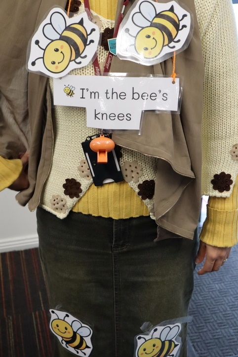 Book Week 2026: Year 4 Idiom Parade
