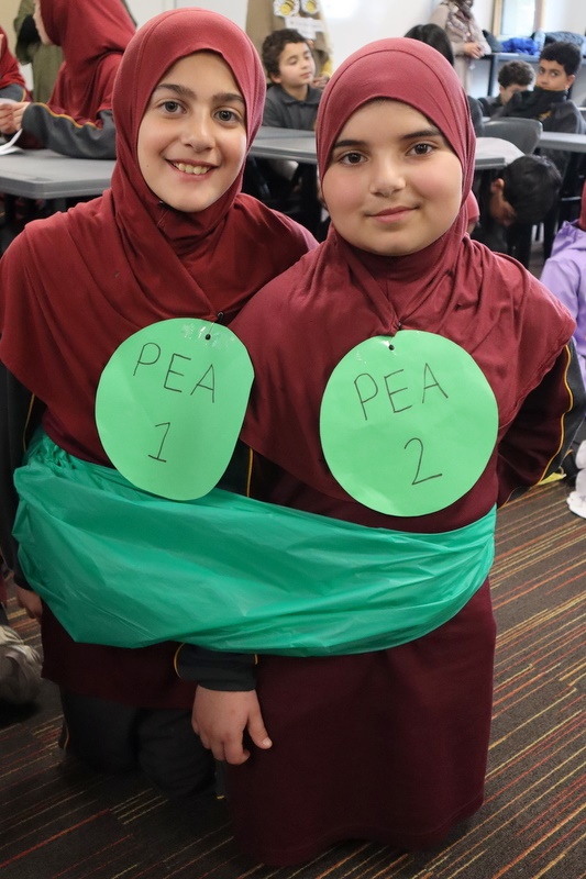 Book Week 2026: Year 4 Idiom Parade