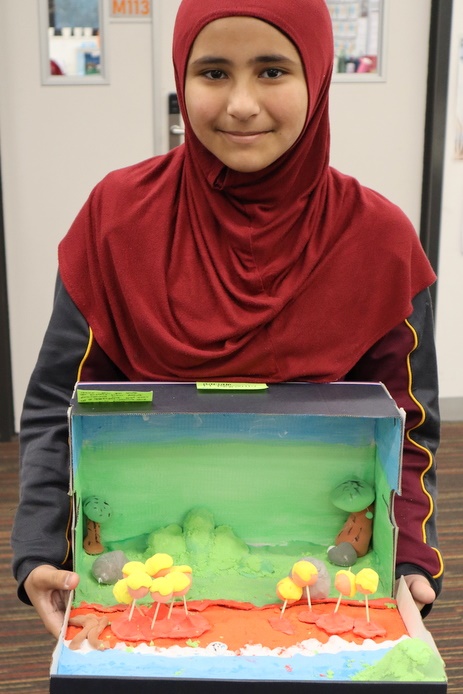 Year 5 and 6 Book Dioramas: Book Week 2026