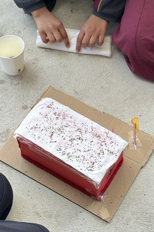 Primary Science Week 2026