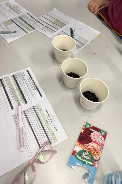 Primary Science Week 2026