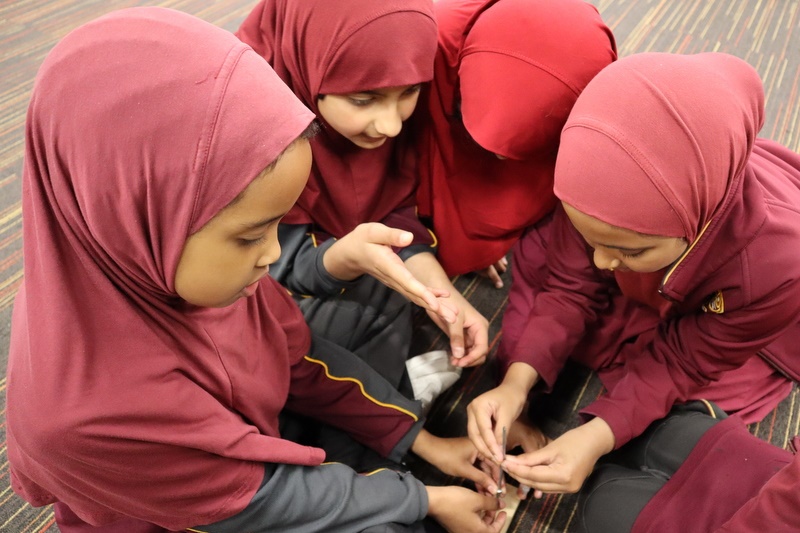 Year 4 Science – Forces – Incursion