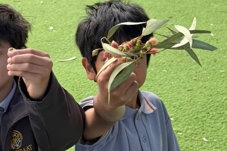 Celebrating Nature Book Week 2026