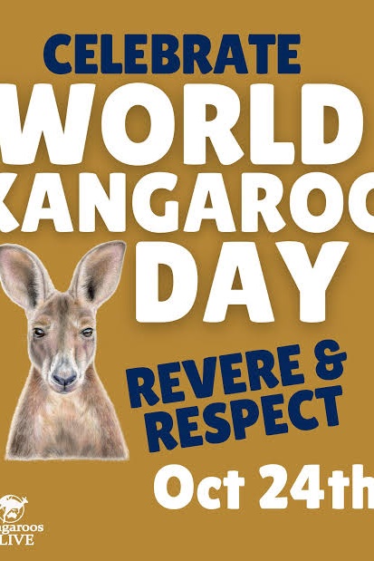 Foundation: Celebrating World Kangaroo Day 2026