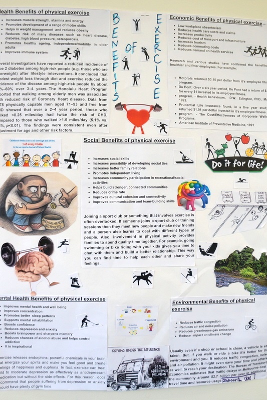 Senior Students Learning on Display