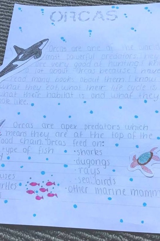 Celebrating Science Week 2020