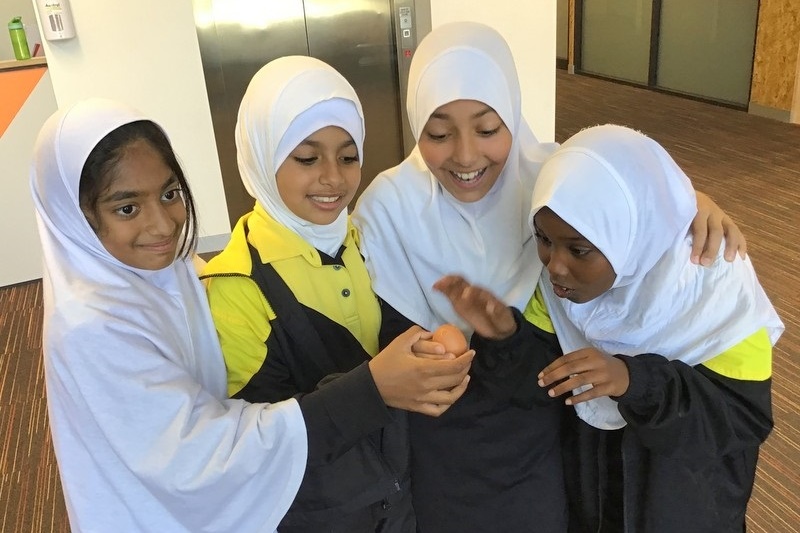 Year 4 Science: Egg Drop Experiment