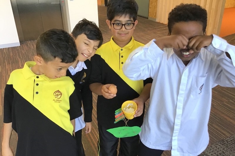 Year 4 Science: Egg Drop Experiment