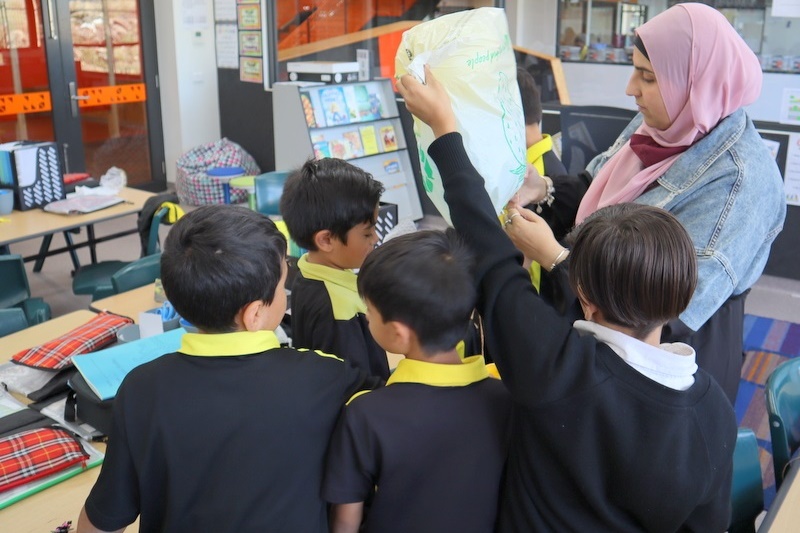 Year 4 Science: Egg Drop Experiment