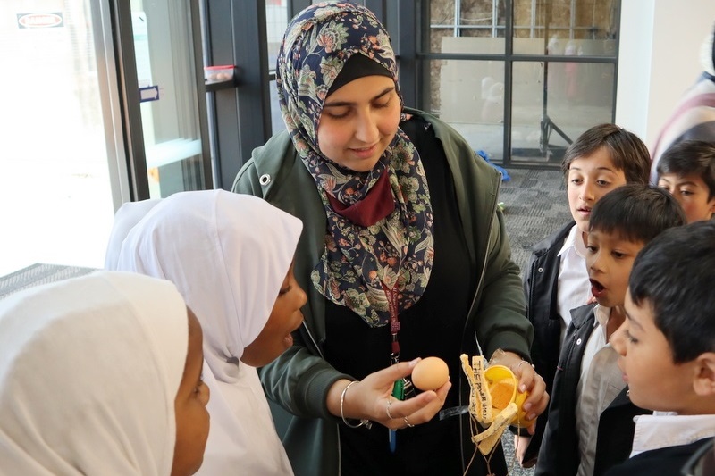 Year 4 Science: Egg Drop Experiment