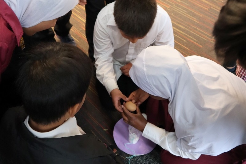 Year 4 Science: Egg Drop Experiment