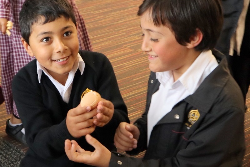 Year 4 Science: Egg Drop Experiment