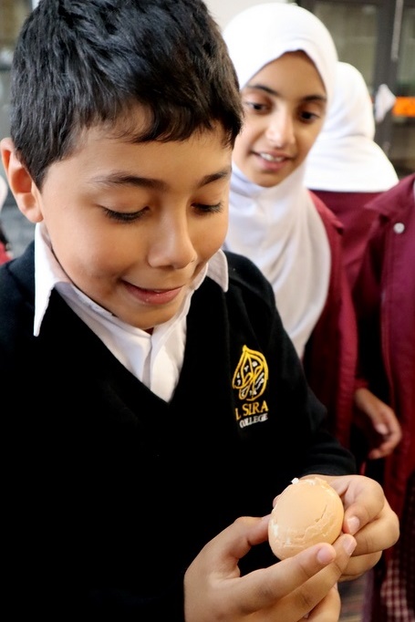 Year 4 Science: Egg Drop Experiment