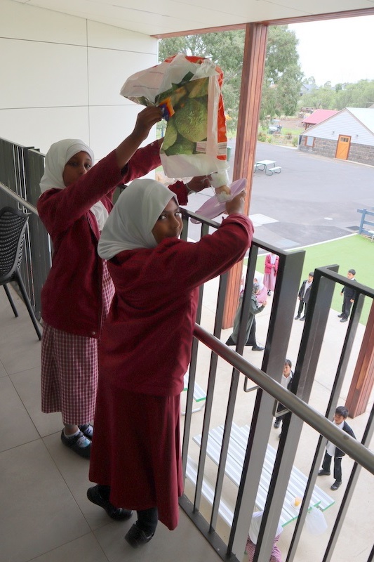 Year 4 Science: Egg Drop Experiment