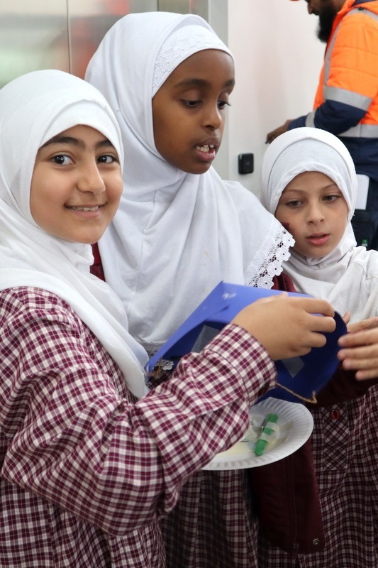 Year 4 Science: Egg Drop Experiment