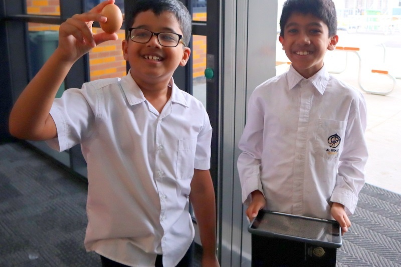 Year 4 Science: Egg Drop Experiment