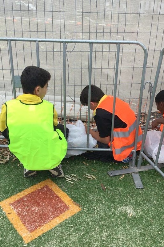 Clean Up Australia Activity