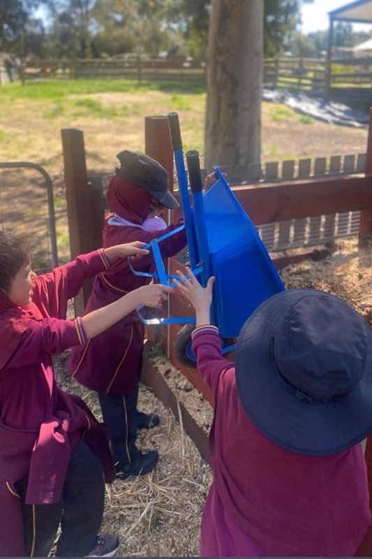 Foundation Excursion to Bundoora Farm
