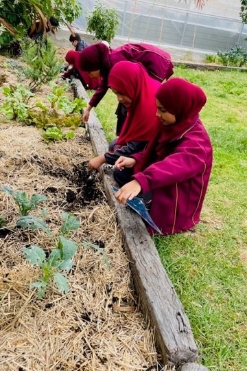 Year 3 Students Unveil Sustainability Wonders