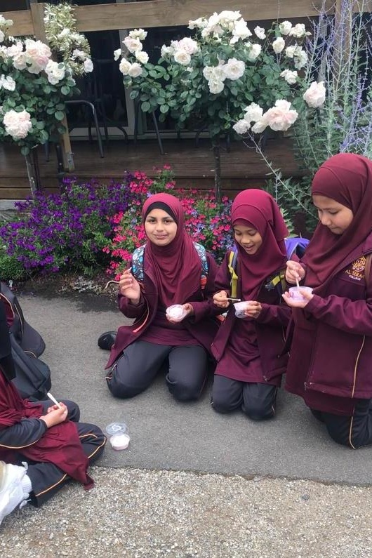 Year 3 and 4 Dojo Redemption: Lavender Farm