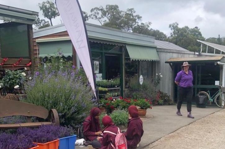 Year 3 and 4 Dojo Redemption: Lavender Farm