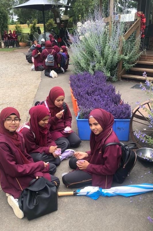 Year 3 and 4 Dojo Redemption: Lavender Farm