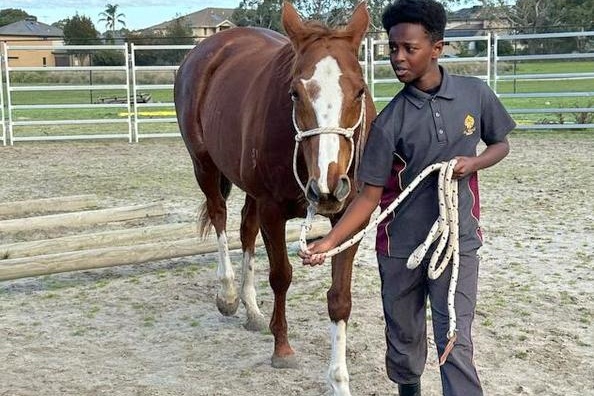 Equestrian Program