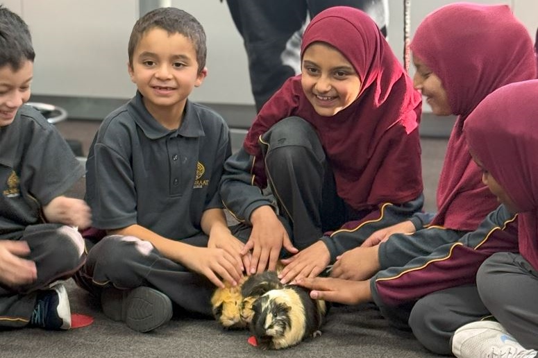 New Farm Arrivals: Welcome our new Guinea Pigs