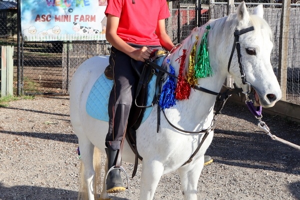 Equestrian Program