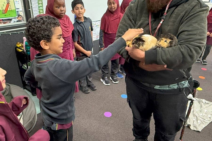 New Farm Arrivals: Welcome our new Guinea Pigs