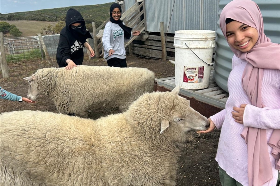 Year 8 Kangaroobie Camp 2025