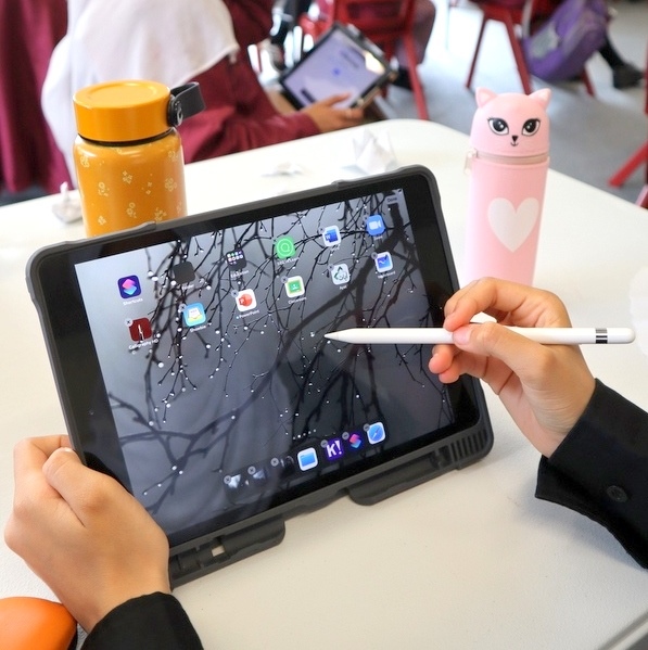 Apple Distinguished School