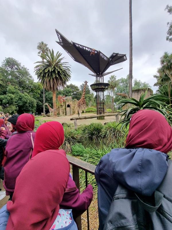 Year 5G: Melbourne Zoo Excursion