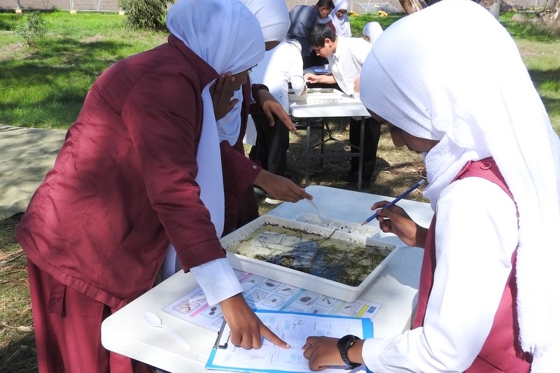 Hifz Students learning about our local Creek