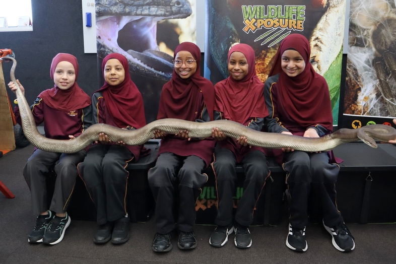 Year 4 Wildlife Xposure Incursion