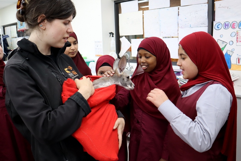 Year 5 Students Connect with Australian Wildlife