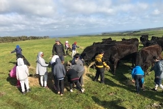 Year 3 Camp Kangaroobie