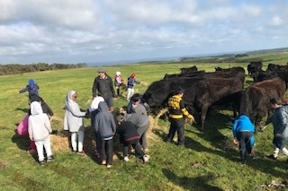 Year 3 Camp Kangaroobie