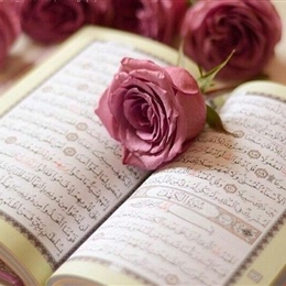 Ladies Online Quran Program Begins