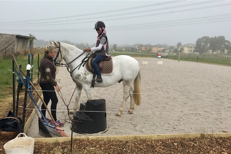 Equestrian Program: New Sand Arena