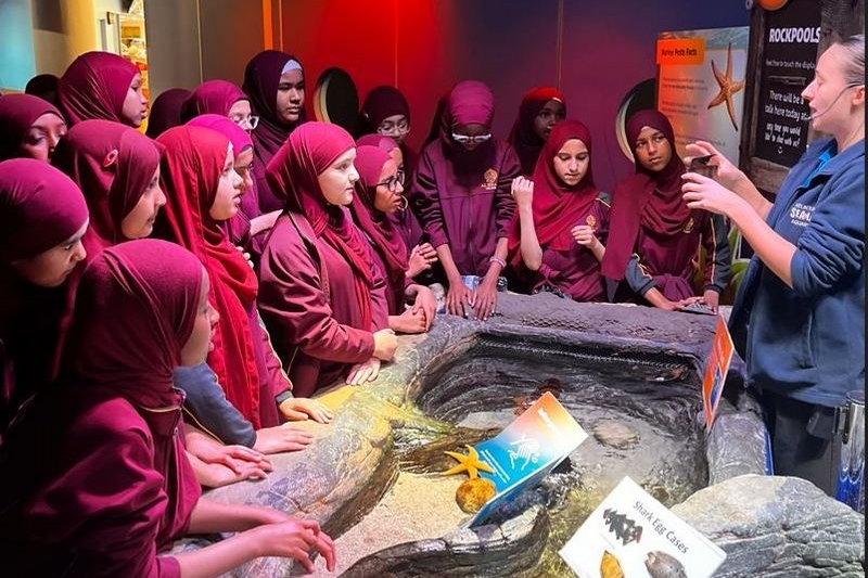 Year 6 Excursion: Exploring Animal Adaptations