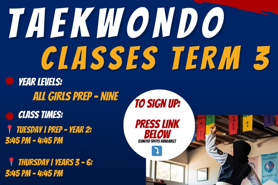 Taekwondo Classes Term 3
